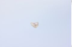Foto von Diamant (NHMW-MIN-Af694)